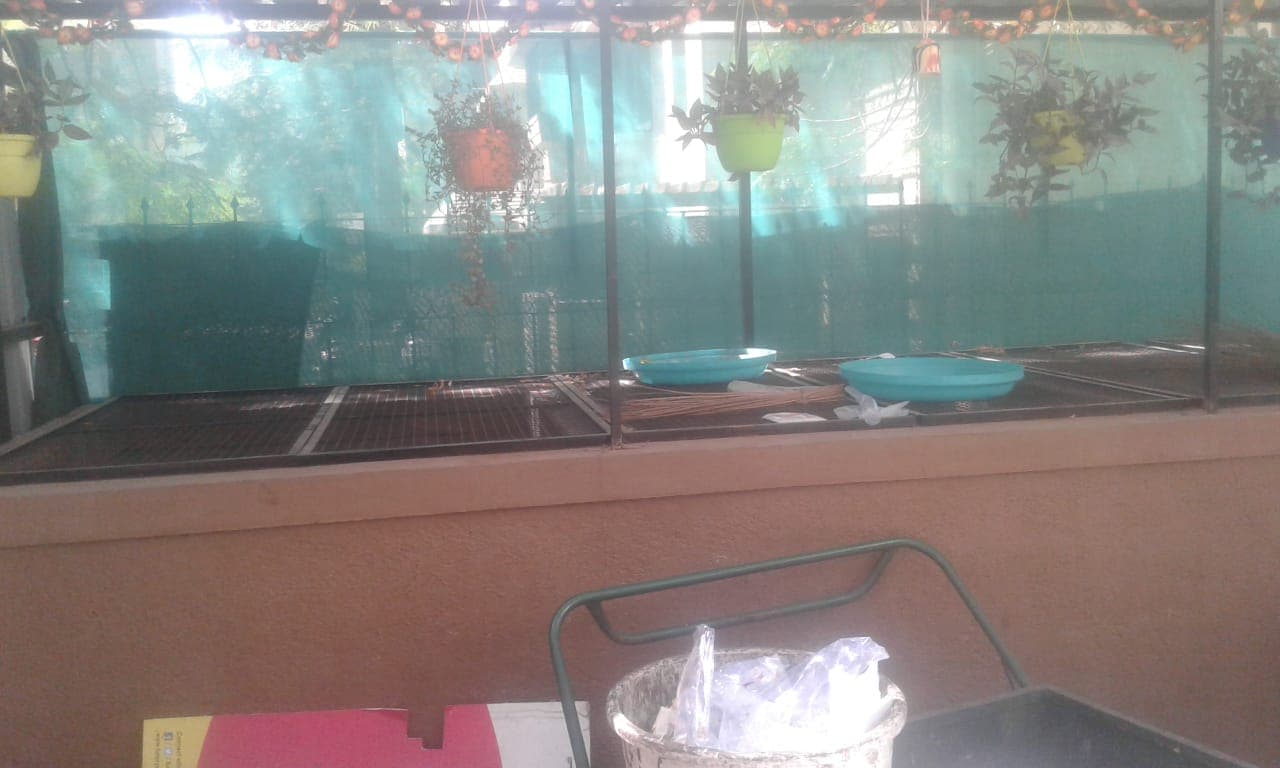 Gera Landmark composting project